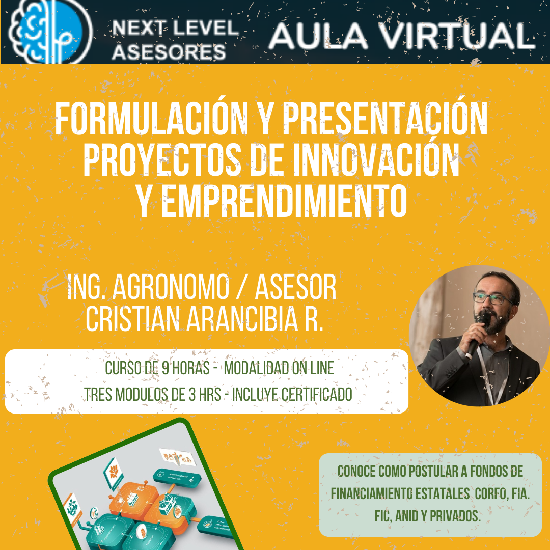 Formulación y presentación de proyectos de innovación y emprendimiento
